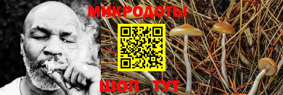 НБОМе  ГАШ  МЕТАДОН  МЕФ кристаллы  ГАШИШ  Экстази  Самара  ТГК  Вход с VPN  Каннабис  Альфа ПВП СК кристаллы  Кетамин 