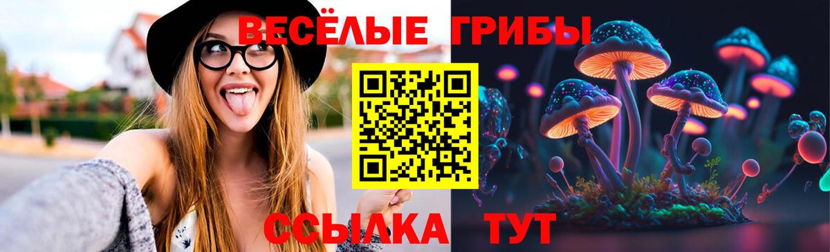 Псилоцибиновые грибы MAGIC MUSHROOMS  Псилоцибиновые грибы GOLDEN TEACHER  Вход с VPN  Самара 